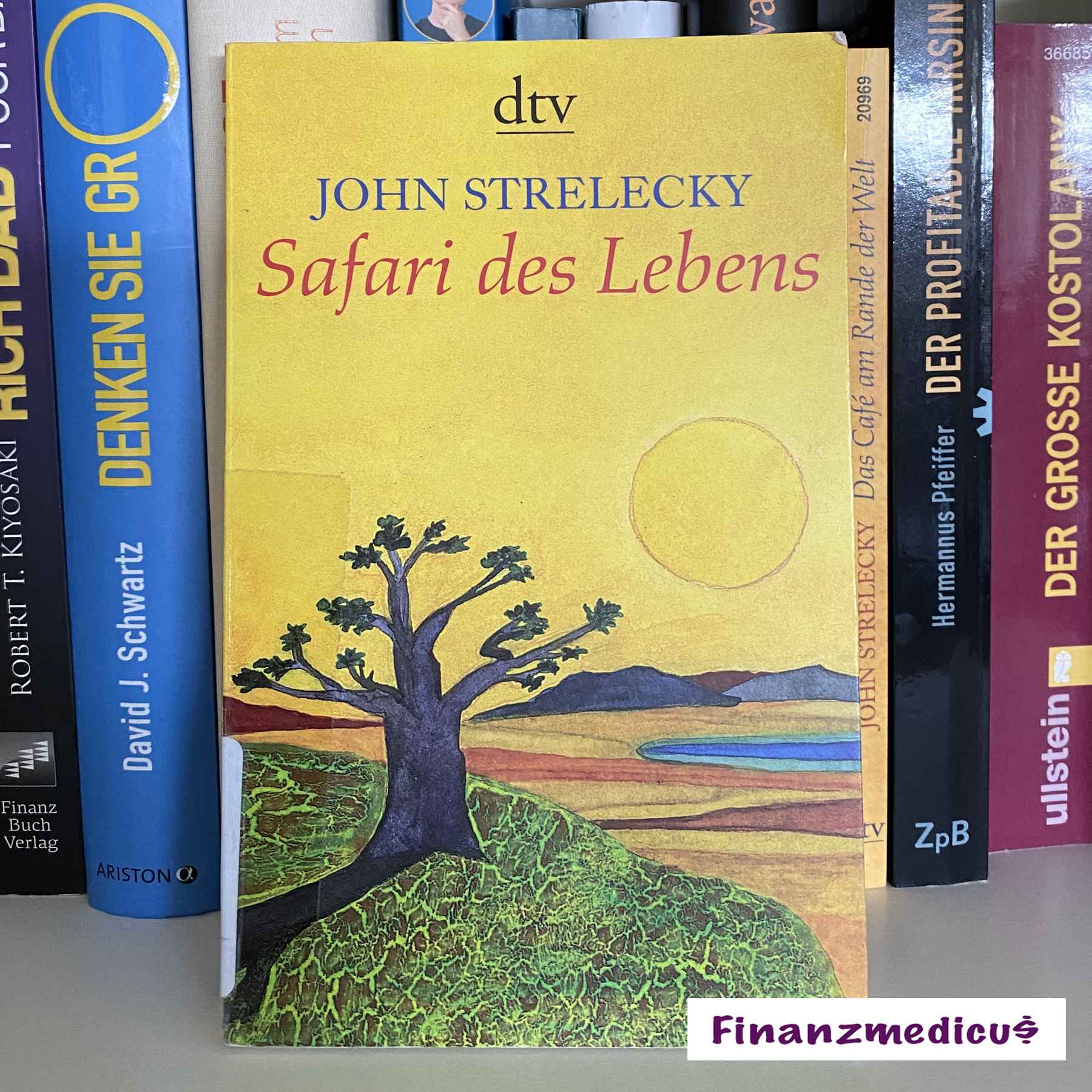 Read more about the article Safari des Lebens von John Strelecky